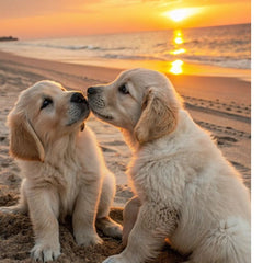 Collection image for: Pets