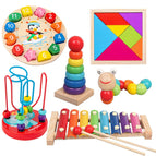 6PCS Wooden Toy
