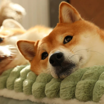 Calming Dog Beds for Small Large Dogs Luxury Dog Mat with Pillow Removable Cover Foam Pet Mat Cushion Sleeping Beds Soft